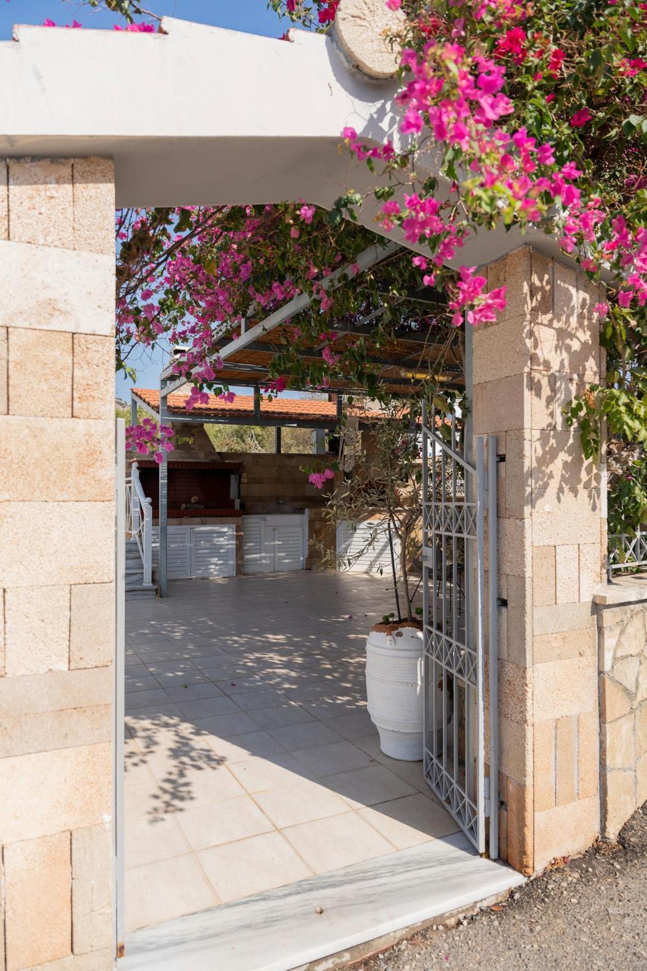 Pounedes Luxury Suites Pefki Exteriér fotografie
